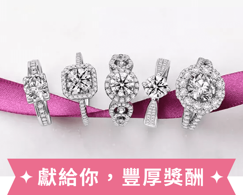 獻給妳,豐厚獎酬