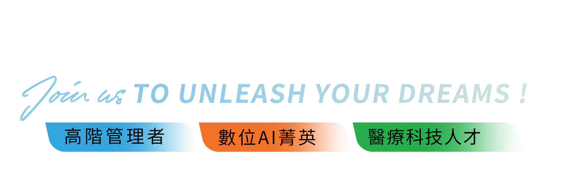 越南最大科技IT服務公司FPT
