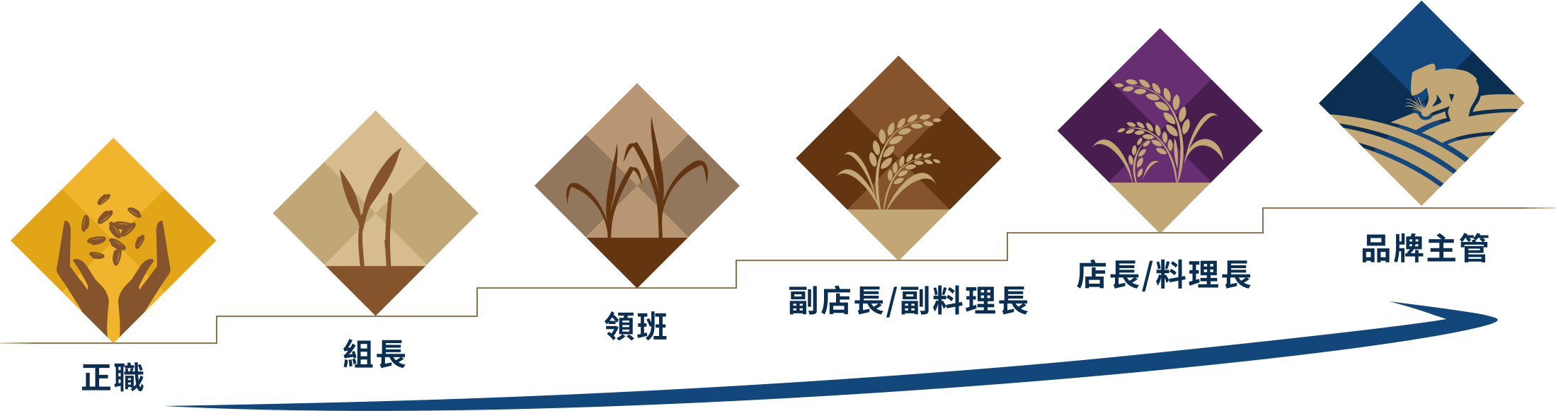 正職、組長、領班、副店長/副料理長、店長/料理長、品牌主管_桌機版