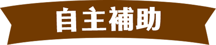 自主補助