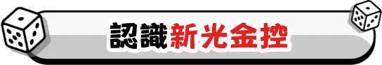 認識新光金控